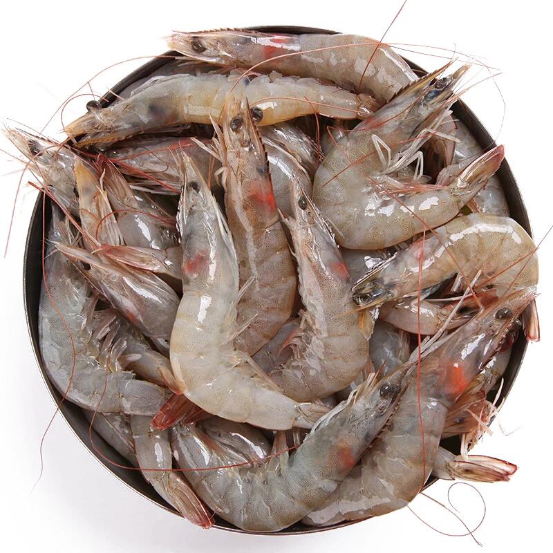 遼寧哪里有魚蝦飼料生產(chǎn)價(jià)格